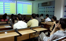 VN-Index rớt mạnh xuống 455 điểm