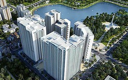 HPG: Quý 1/2011 đạt 550 tỷ đồng lợi nhuận sau thuế