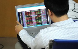 Dòng tiền đứng ngoài thị trường, VN-Index vẫn tăng nhẹ lên 484 điểm