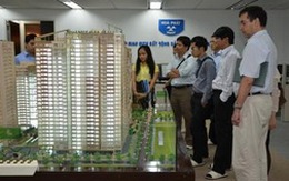 HPG: Dự kiến quý 4 mảng bất động sản sẽ đóng góp 20% lợi nhuận cả năm