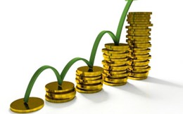 Số mã giảm áp đảo, Vn-Index vẫn tăng lên sát 430 điểm