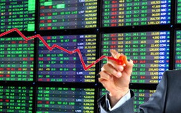 Hai sàn tăng giảm trái chiều, Vn-Index rơi về 417 điểm