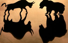 TIC, VNE, DMC, SDT, TMT, PTB, VTF, ELC, OPC: Thông tin giao dịch lượng lớn cổ phiếu