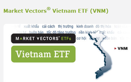 Market Vectors Vietnam ETF có thể thoái vốn tại FPT và HSG