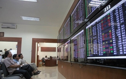 VN-Index mất điểm, cổ phiếu nóng vẫn tiếp tục được tranh mua