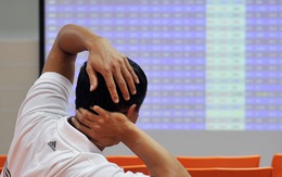 SJS giảm sàn, MSN tiếp tục kéo VN-Index tăng điểm