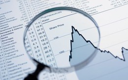 Bán tháo trên hai sàn, VN-Index xuống 407 điểm