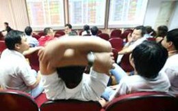 VGP, VNF, OPC: Thông tin giao dịch lượng lớn cổ phiếu