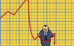 Bán tháo trên hai sàn, VN-Index lùi về 360 điểm