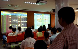 VIC, STB tăng trần, Vn-Index trở lại tăng điểm