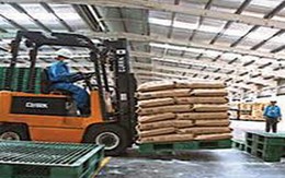 BCC đạt 50 tỷ đồng lợi nhuận năm 2011