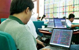 Chào năm Thìn, Vn-Index "bay lên" gần 12 điểm