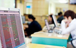 VN-Index tăng gần 12 điểm trong ngày đầu năm mới Nhâm Thìn
