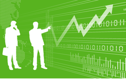 Những bất ngờ mùa báo cáo tài chính 2011