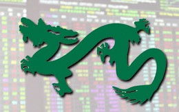 Quỹ VPF của Dragon Capital lỗ 45% khi thoái vốn tại SJS
