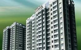 Nghi vấn Petroland làm “xiếc” báo cáo tài chính