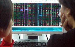 VN-Index, HNX-Index mất 9,5% trong tuần, cầu bắt đáy tăng nhẹ