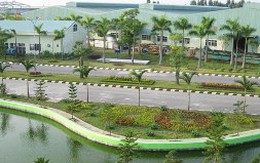 AAA: Thoái vốn tại Công ty Mỹ San