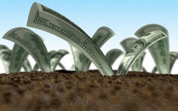 Ám ảnh kết quả kinh doanh quý II/2012