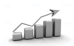 Nhìn lại kết quả kinh doanh của các cổ phiếu thuộc HNX30