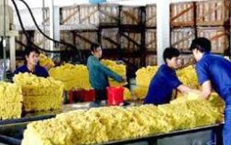 Yêu cầu Tập đoàn cao su thoái vốn ở 46 công ty ngoài ngành
