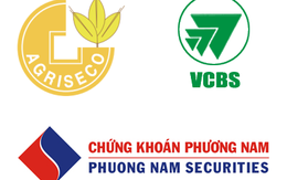 AGR, VCBS, PNS: Ước kết quả kinh doanh 6 tháng đầu năm