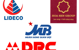 23/7 chính thức đưa MBB, DRC, NTL và HSG vào rổ VN30