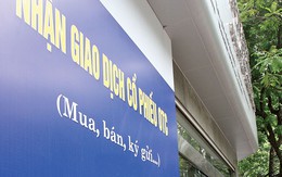 Cổ phiếu OTC: “Giấy vẽ” báo cáo tài chính của CTCK