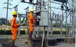 EVN thoái vốn: Dự kiến lãi lớn với bảo hiểm và “mắc cạn” với công ty chứng khoán