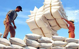 8 tháng xuất khẩu gạo đạt 2,05 tỷ USD