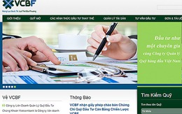Tổng giám đốc quỹ VCBF: Đây là thời điểm tốt để đầu tư vào Việt Nam 