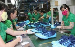 PTT Vũ Văn Ninh chỉ đạo nghiên cứu thành lập Ủy ban năng suất lao động