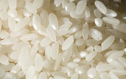 Câu hỏi triệu đô: Trung Quốc thực sự đang có bao nhiêu gạo?