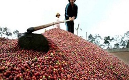 Giải pháp nào để xuất khẩu thành công và bền vững?