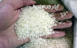 Gạo Việt bị lo ngại về độ an toàn ở Mỹ: Thiếu cơ sở, không thuyết phục!