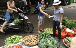Hà Nội: Nguồn cung dồi dào, giá rau củ giảm mạnh