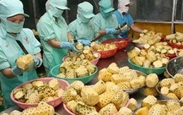 Rau quả Việt Nam tiếp tục được xuất khẩu sang châu Âu