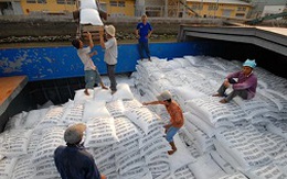Xuất khẩu gạo khó khăn