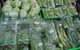 Xuất khẩu rau quả Việt Nam chưa xứng với tiềm năng