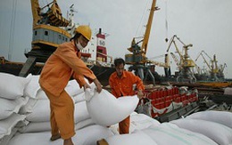 Thương lái Trung Quốc gian lận trong nhập khẩu gạo Việt