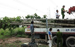 Có thể khởi tố vụ gây sự cố mất điện đường dây 500 kV