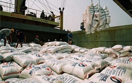 Thận trọng với thị trường gạo châu Phi