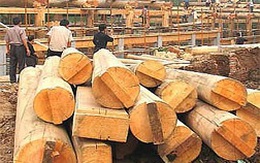 Ngành chế biến gỗ xuất khẩu: Liên kết để phát triển
