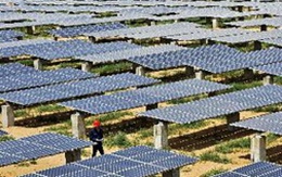 EC áp thuế chống bán phá giá với pin mặt trời Trung Quốc