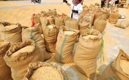 Thủ tướng chỉ đạo mua tạm trữ 1 triệu tấn thóc gạo