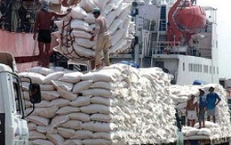 Chuyển biến tích cực trong xuất khẩu gạo