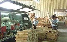 Xuất khẩu gỗ duy trì tăng trưởng