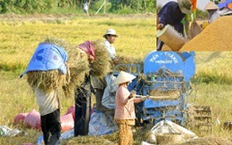 Quanh việc mua 1 triệu tấn gạo cứu nông dân