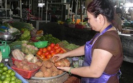 Khoai tây độc Trung Quốc vẫn đầy chợ