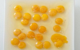 Trứng gà 2 lòng đỏ không ảnh hưởng tới sức khỏe